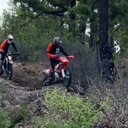 Begegnungen am Weg: mal motorisiert,