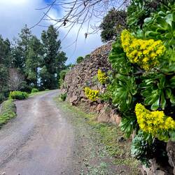die Wanderung kann losgehen