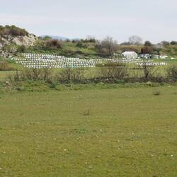 Blick auf die Bienenkörbe