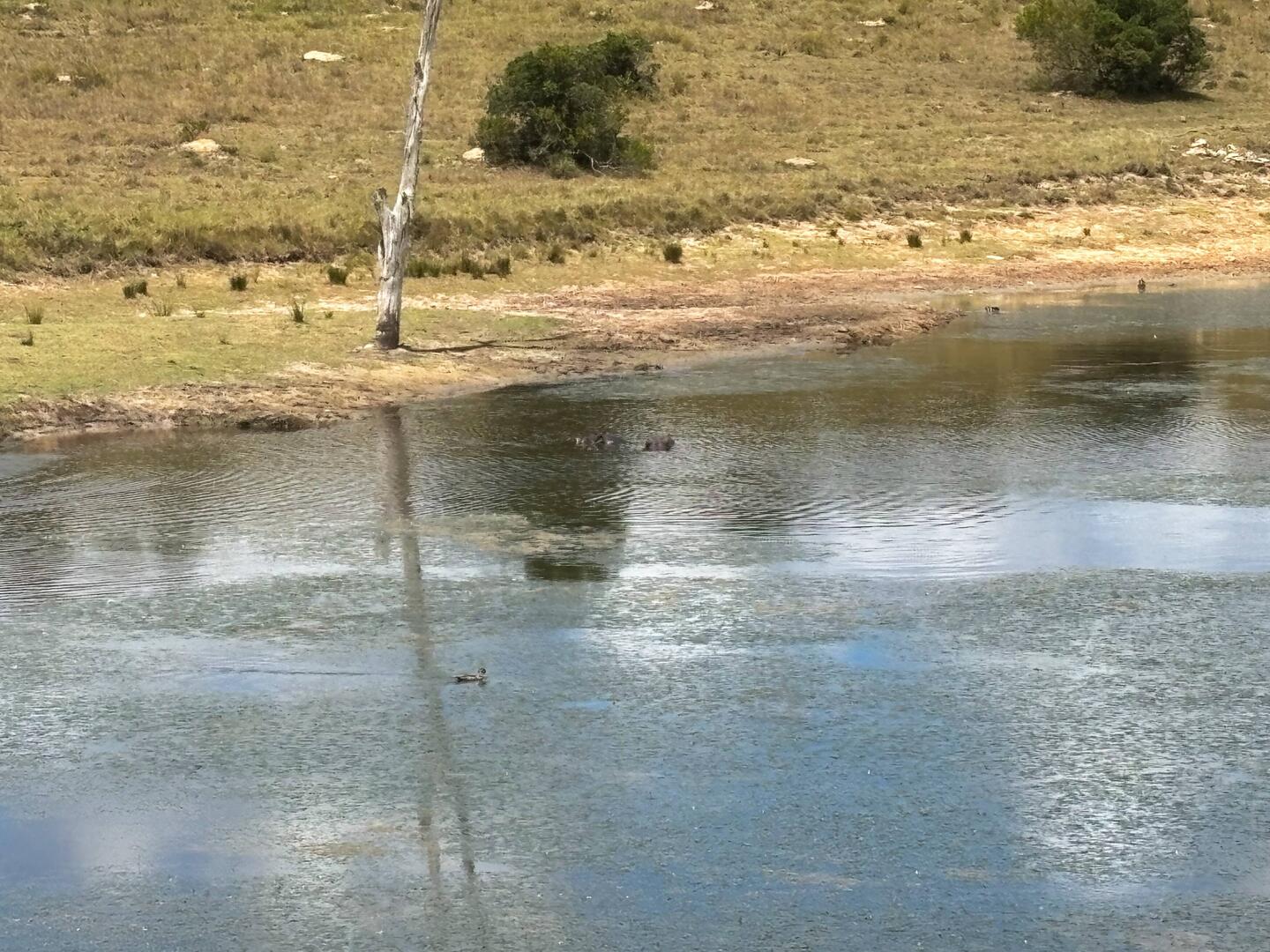 Seht ihr was, was ich nicht sehe? 😂 Könnt ja mal raten