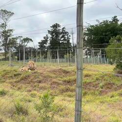Dieser Sound gibt gleich Gänsehaut