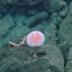 Das Wasser ist glasklar