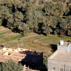 Wir wird sogar richtig angebaut