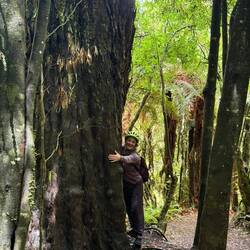 Found this huge tree along the trail.