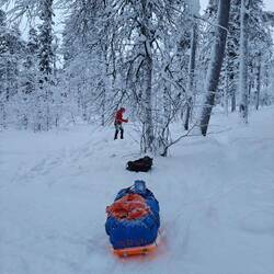 Looking for a good spot to set up a tent at Vieriharju