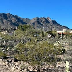 A view of Alain's place. Main home left, guest house right.