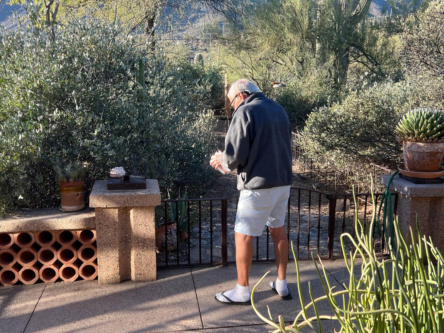 Alain feeding the quail.