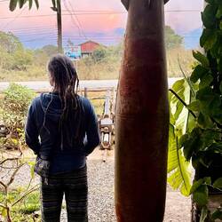 Posés pour la nuit ! En face le café 1971, à la déco fort originale