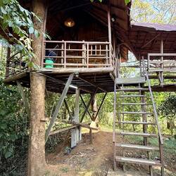 Notre logement de la 1ere nuit, une cabane dans les arbres, très "rustique"...
