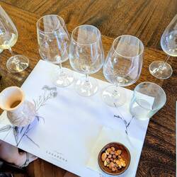 Ready for tasting at Caserena.