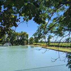 Vineyard environment.