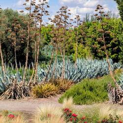 Bodega Bressia scenes.