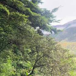 The best view of the day