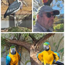 Thomas hat einen Vogel 🐦.😂.