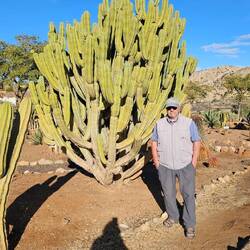 Auf dem Gelände gibt es einen außergewöhnlich schönen Kakteengarten.