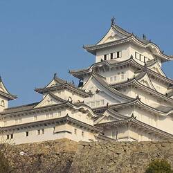 Die "Weißen Reiher"