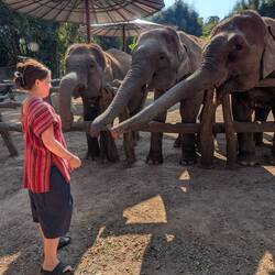 It's nice to be popular