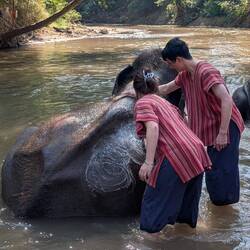 Which meant using a bit of elbow grease to get in the wrinkles