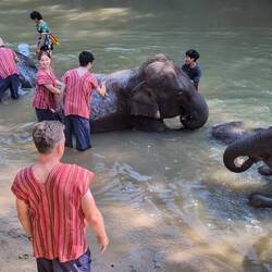 Not sure if I want to go in after seeing that