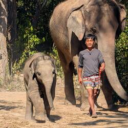 It was all very civilised until this little fella came along (on the left)