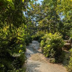 The bottom was beautiful and the water was warm