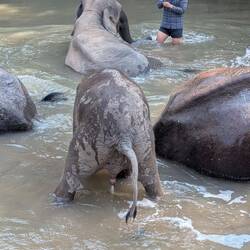 The water was clean when we arrived