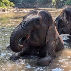 Then it was proper bath time in the river