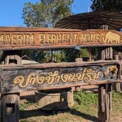 Elephant sanctuary. We were assured that it was to rescue & re-populate elephants. White guilt free.