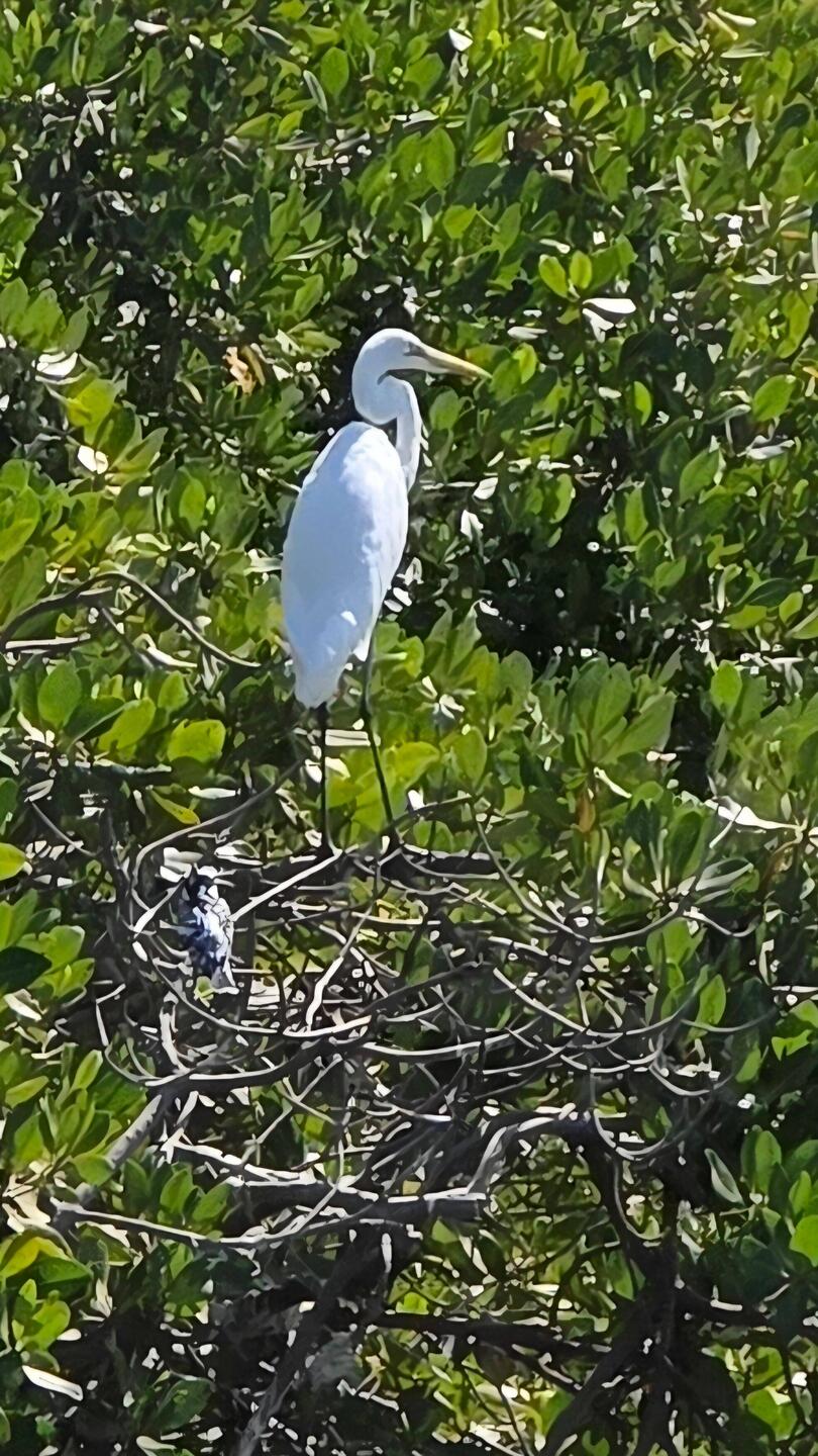 Morning of our departure