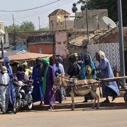 What a sea of colour