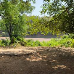 View out of our Car onto the river