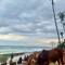 Kühe am Strand 🐮