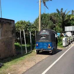 Ausschnitt aus Midigama 🥰