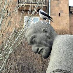 A chiederlo, non succedeva!