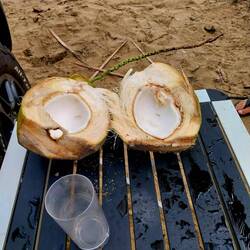 Frühstück, Kokosnusssaft und das weiche Fleisch
