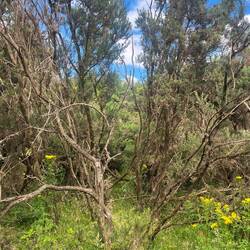 Went on some kind of trail