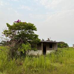 Morbider Charme am Wegesrand