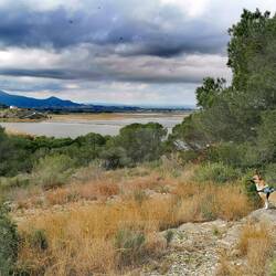 Richtung Reisfelder(für die Paella)