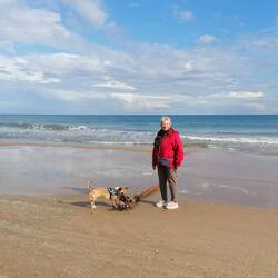 Endlich ein Stöckchen