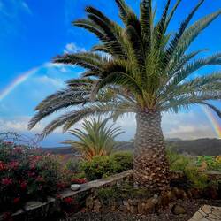 und auch mal als fast kompletter Bogen