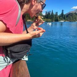 Welches nicht sauber gegessen werden kann