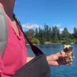 Hier der Beweis... 😁