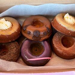 Gluten Free Donuts