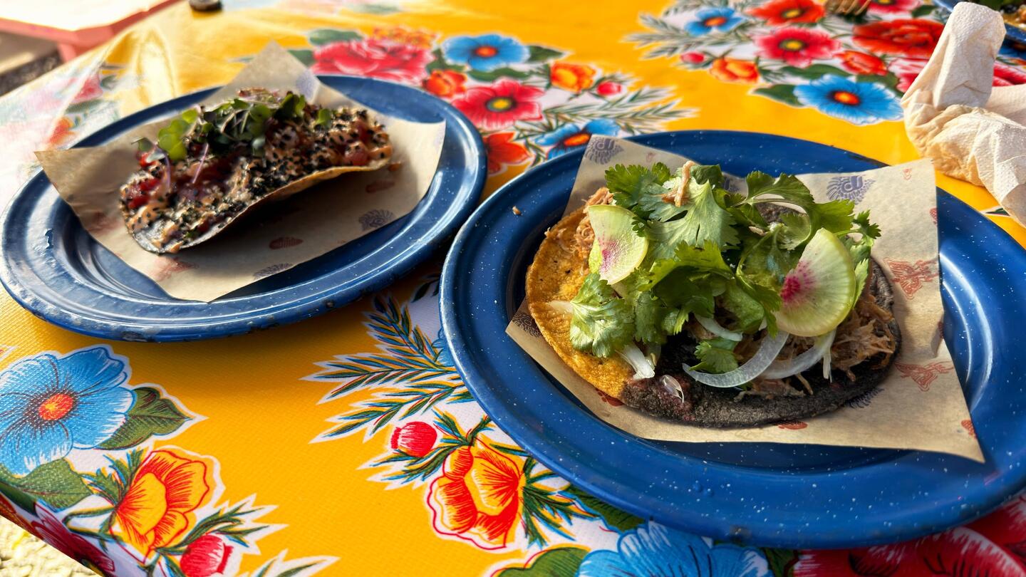 Tuna Ceviche Tostada & Duck Carnitas Taco