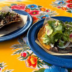 Tuna Ceviche Tostada & Duck Carnitas Taco