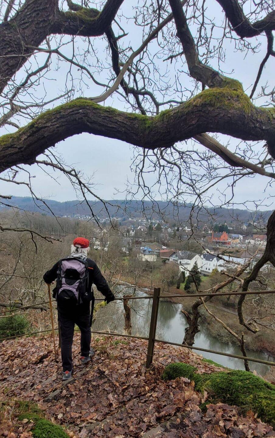 Toller Pfad am Steilufer der Sieg....