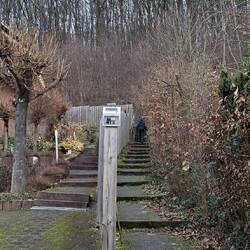 Da landet man schnell mal in Nachbars Garten!😁