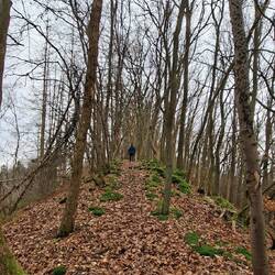 ....DüsselSieg Pfaden!👍