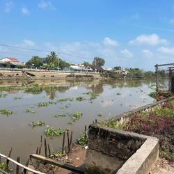 Amongst the canal