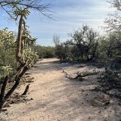 The path thru the wash is easy to follow, and fairly flat.